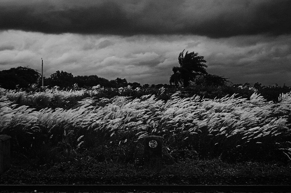 The rhythmic cycle of nature