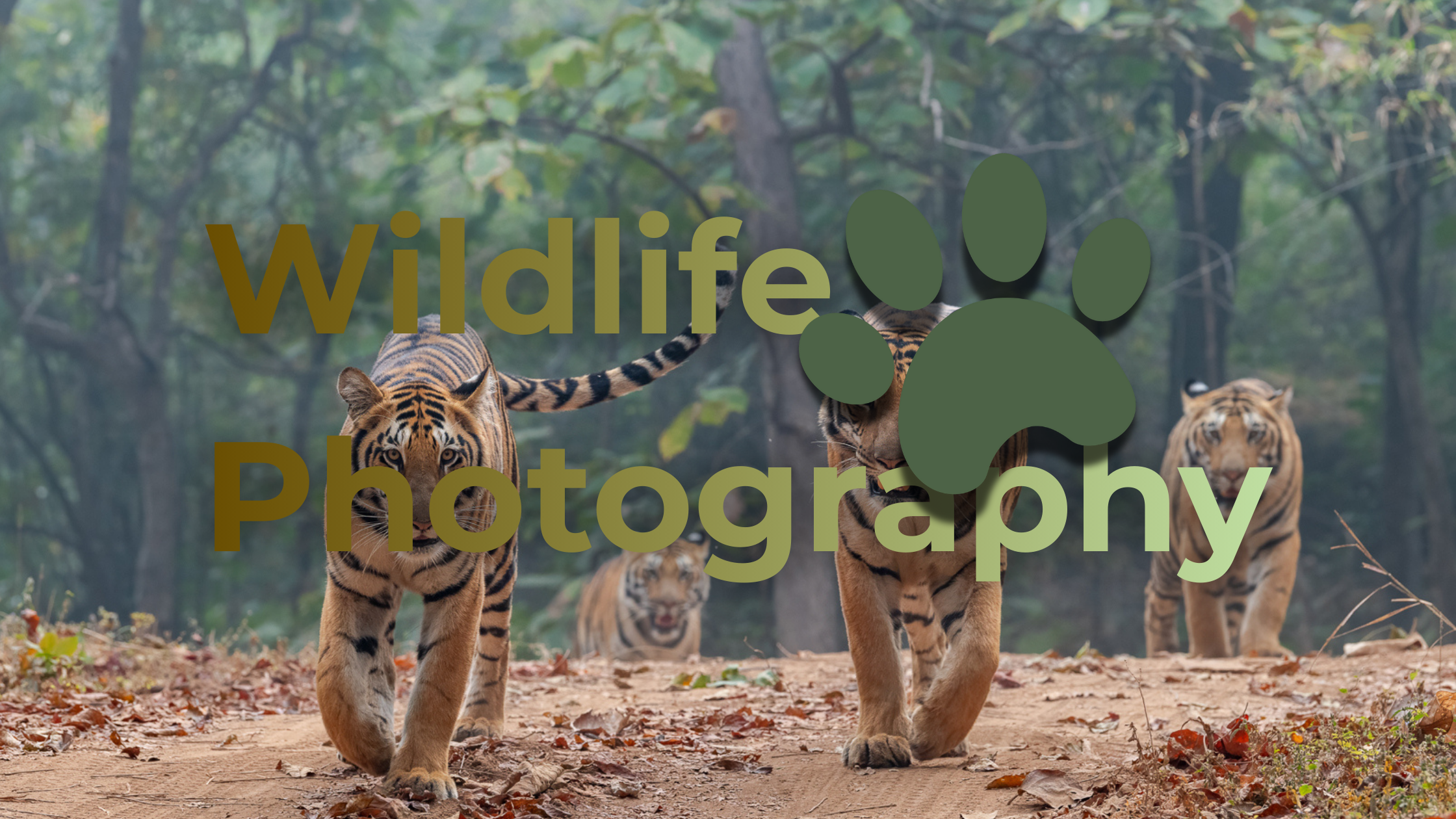 Mahanagar Blogs (23)